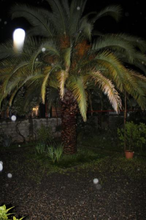 Частный Дом. Green House Batumi